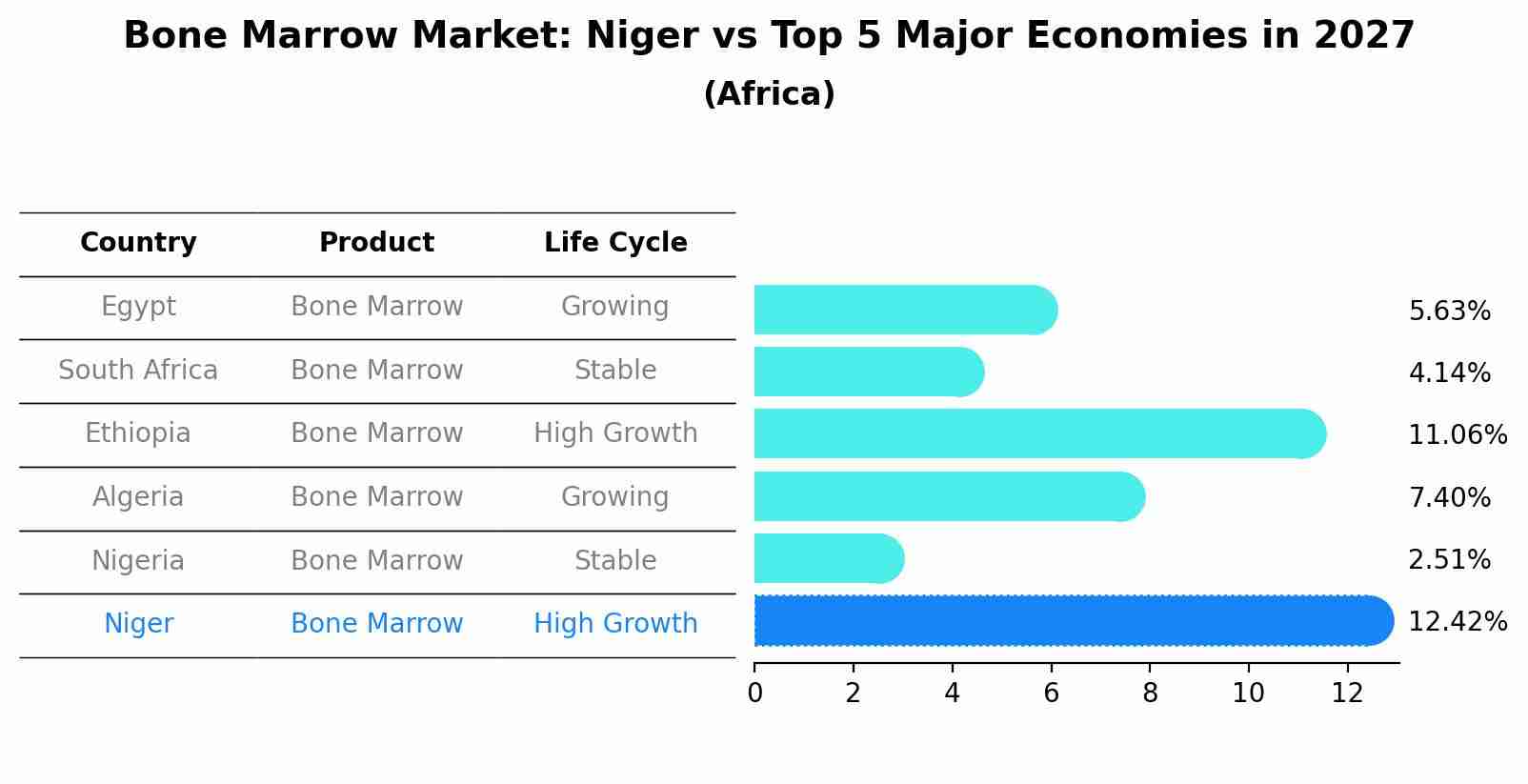 Bone Marrow Market: Niger vs Top 5 Major Economies in 2027 (Africa)