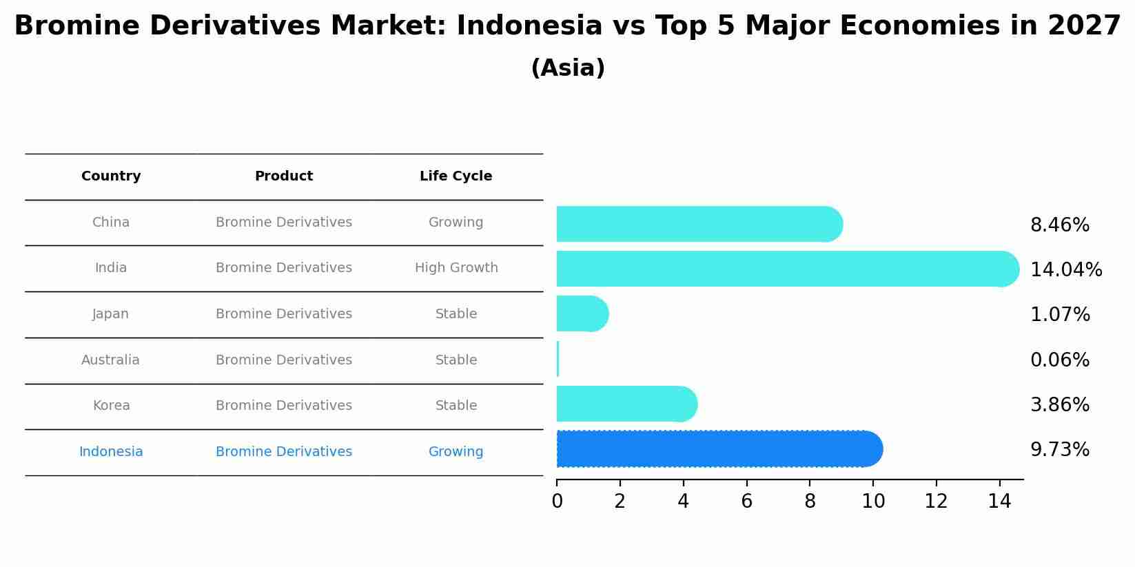 Bromine Derivatives Market: Indonesia vs Top 5 Major Economies in 2027 (Asia)