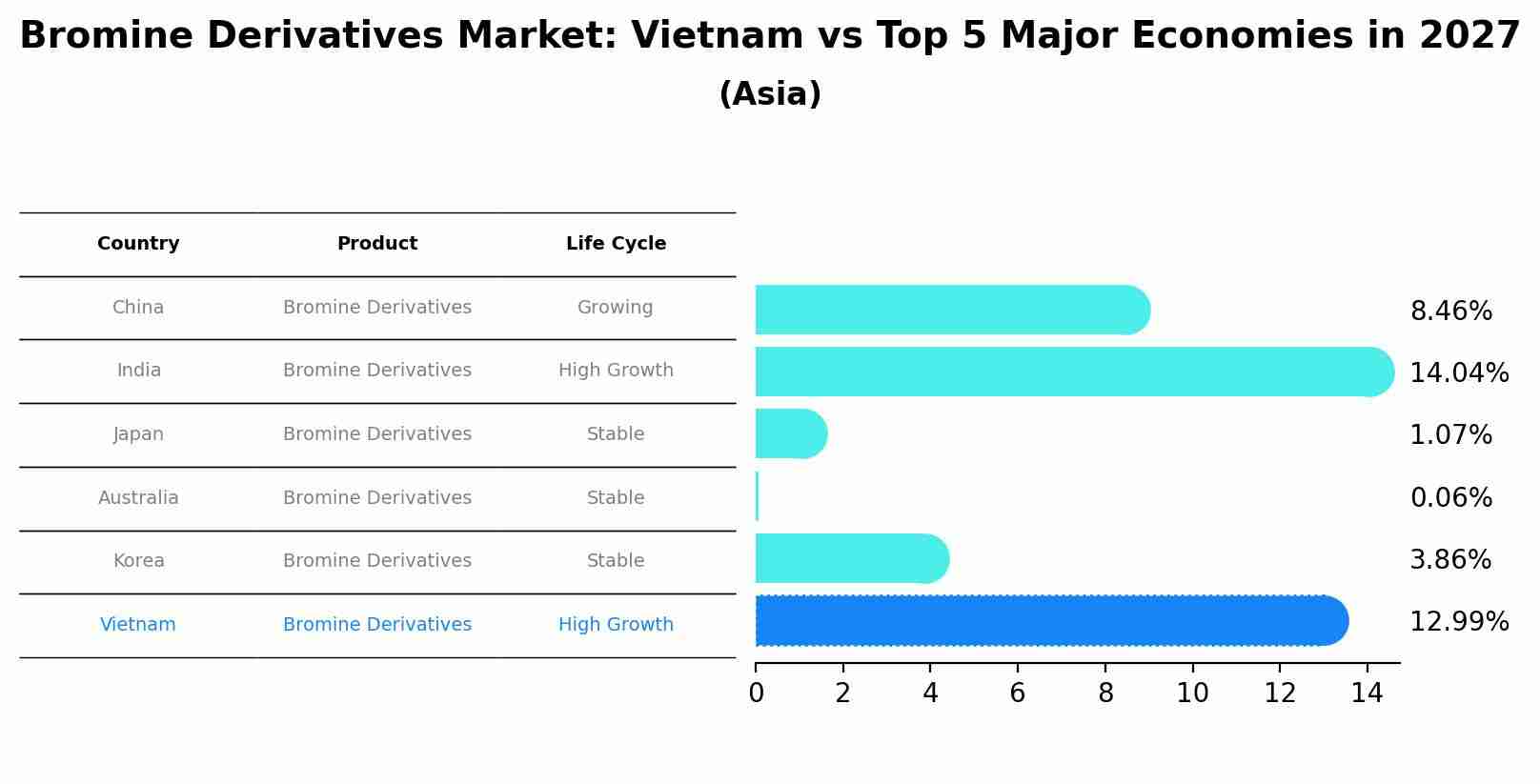 Bromine Derivatives Market: Vietnam vs Top 5 Major Economies in 2027 (Asia)