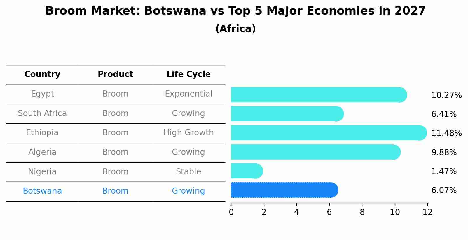 Broom Market: Botswana vs Top 5 Major Economies in 2027 (Africa)
