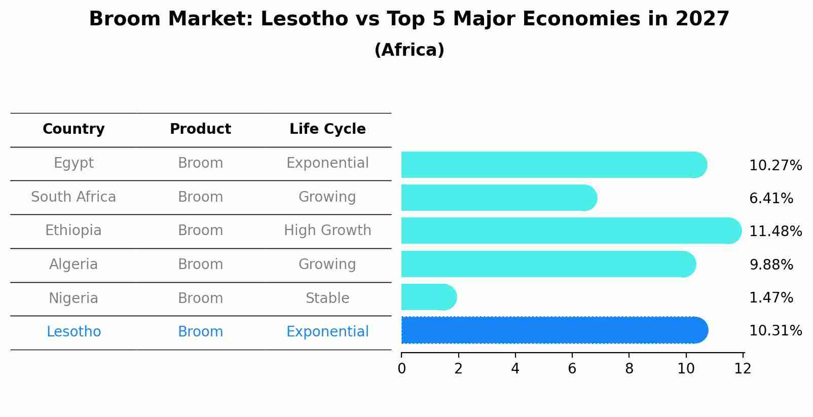Broom Market: Lesotho vs Top 5 Major Economies in 2027 (Africa)