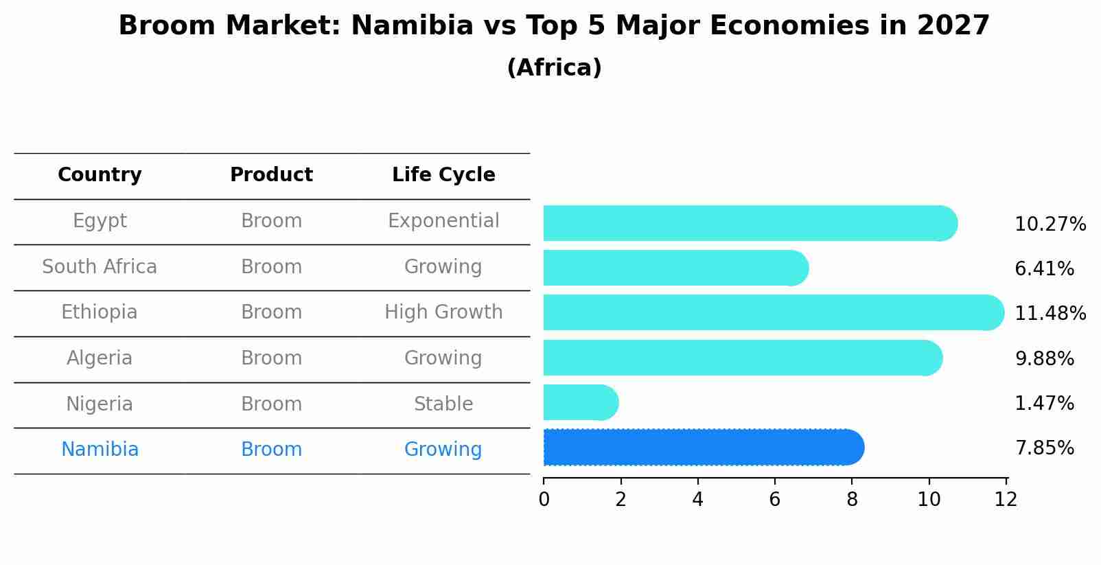 Broom Market: Namibia vs Top 5 Major Economies in 2027 (Africa)