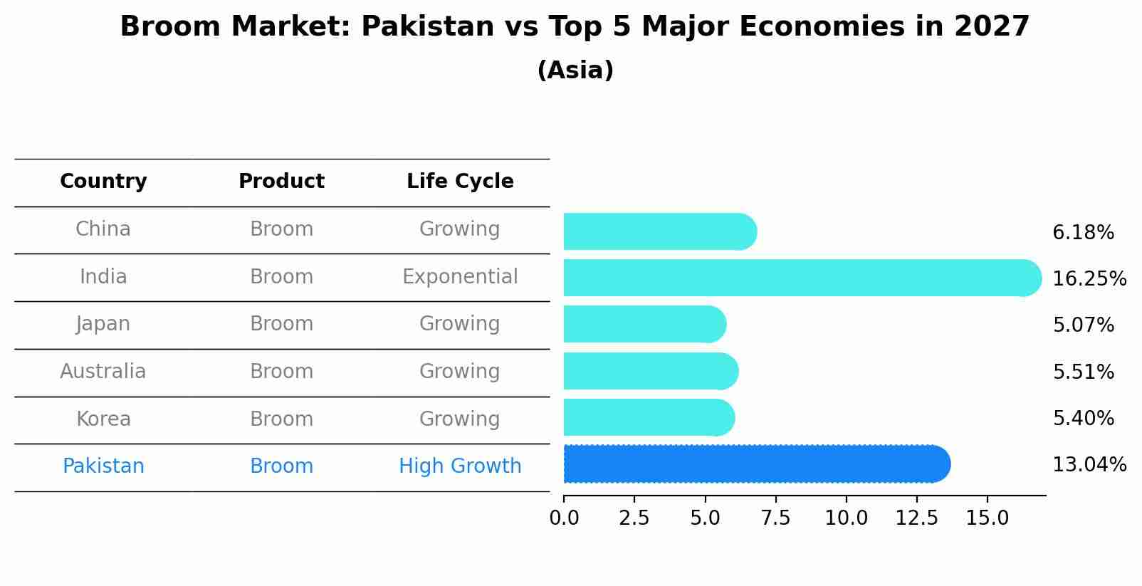 Broom Market: Pakistan vs Top 5 Major Economies in 2027 (Asia)