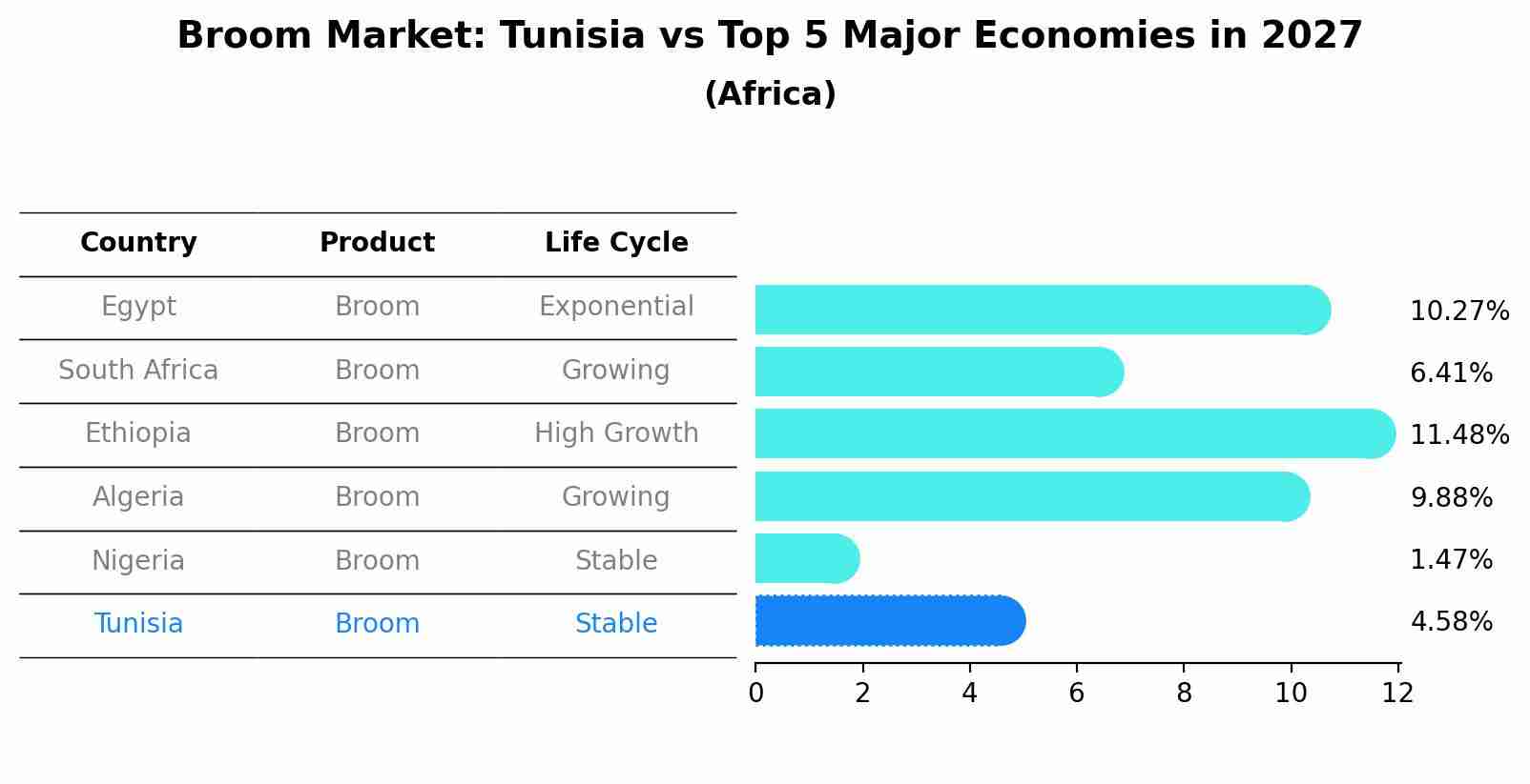 Broom Market: Tunisia vs Top 5 Major Economies in 2027 (Africa)