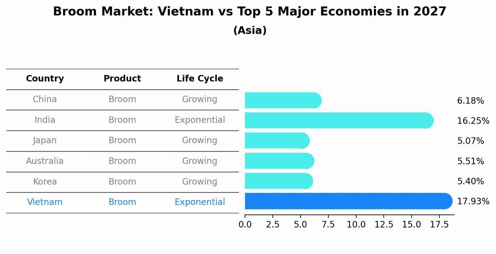 Broom Market: Vietnam vs Top 5 Major Economies in 2027 (Asia)