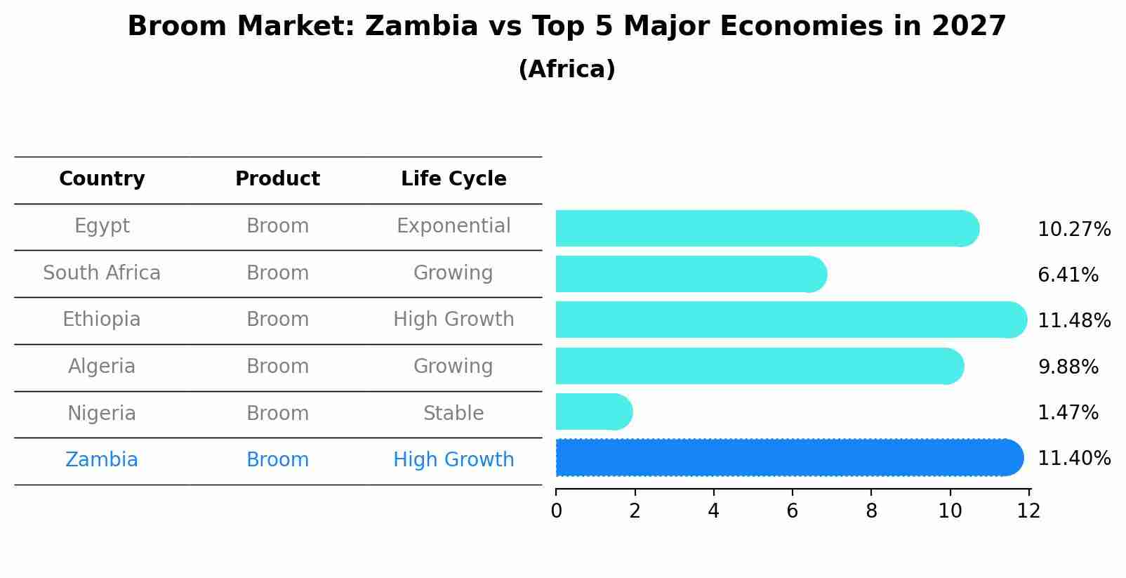 Broom Market: Zambia vs Top 5 Major Economies in 2027 (Africa)
