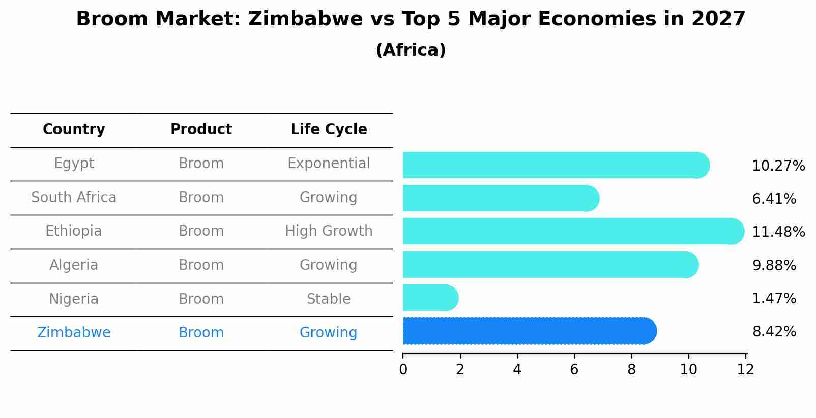 Broom Market: Zimbabwe vs Top 5 Major Economies in 2027 (Africa)