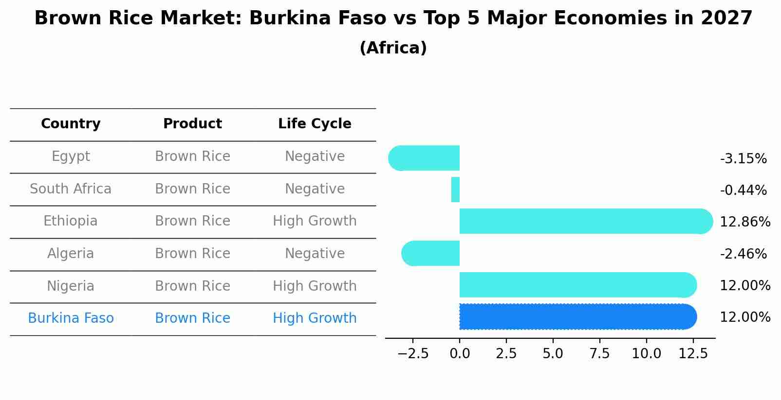 Brown Rice Market: Burkina Faso vs Top 5 Major Economies in 2027 (Africa)