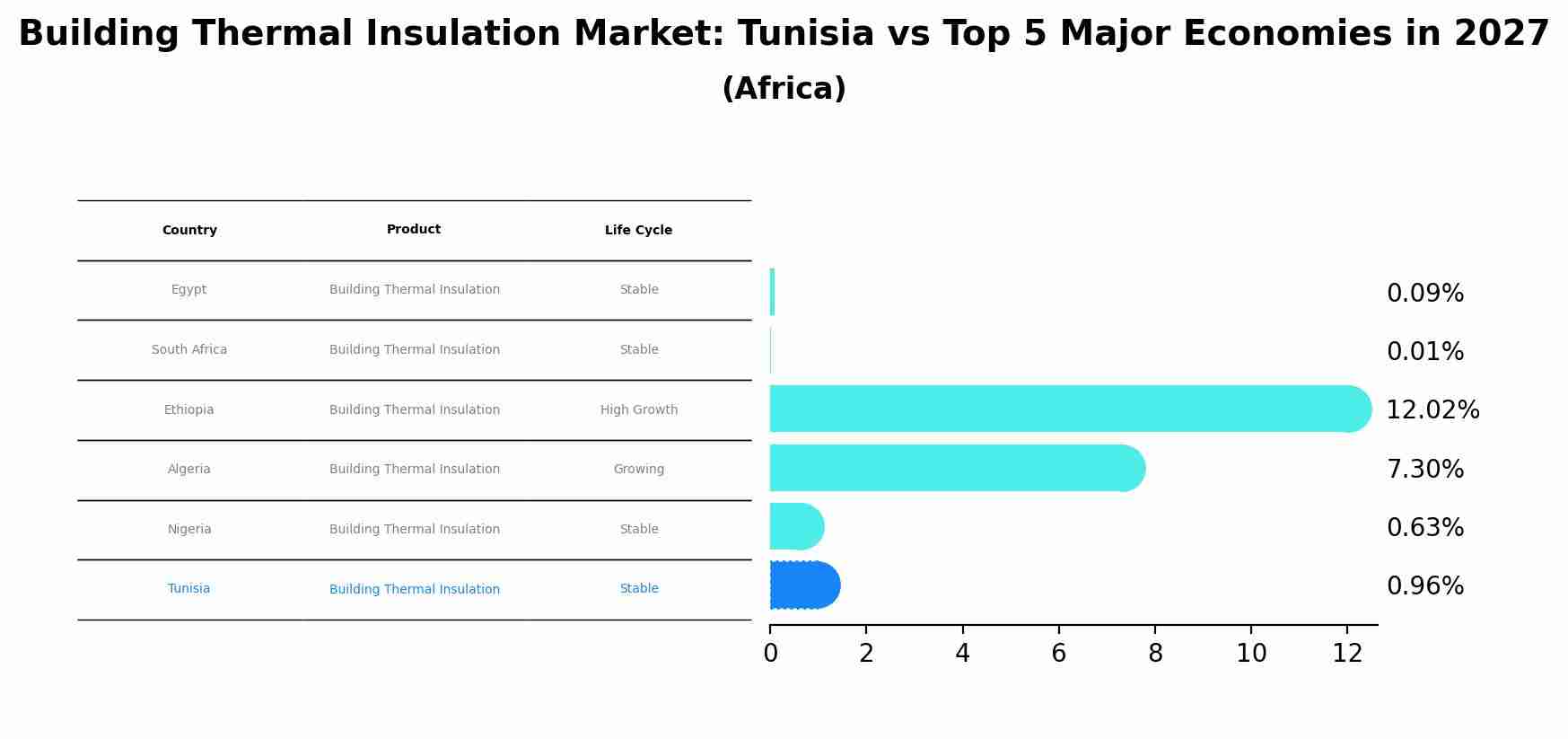 Building Thermal Insulation Market: Tunisia vs Top 5 Major Economies in 2027 (Africa)