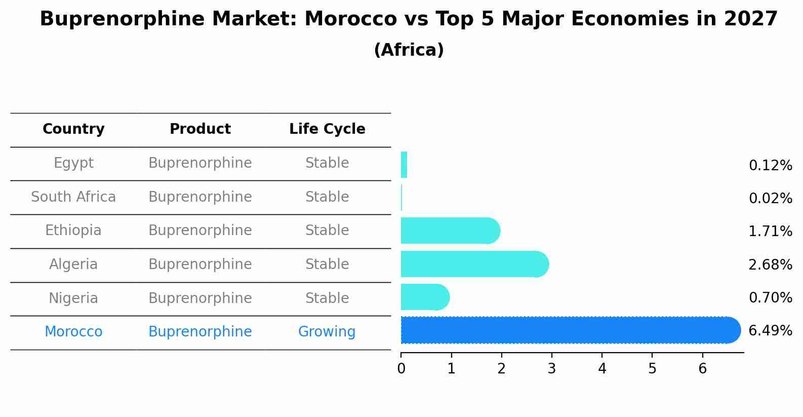 Buprenorphine Market: Morocco vs Top 5 Major Economies in 2027 (Africa)