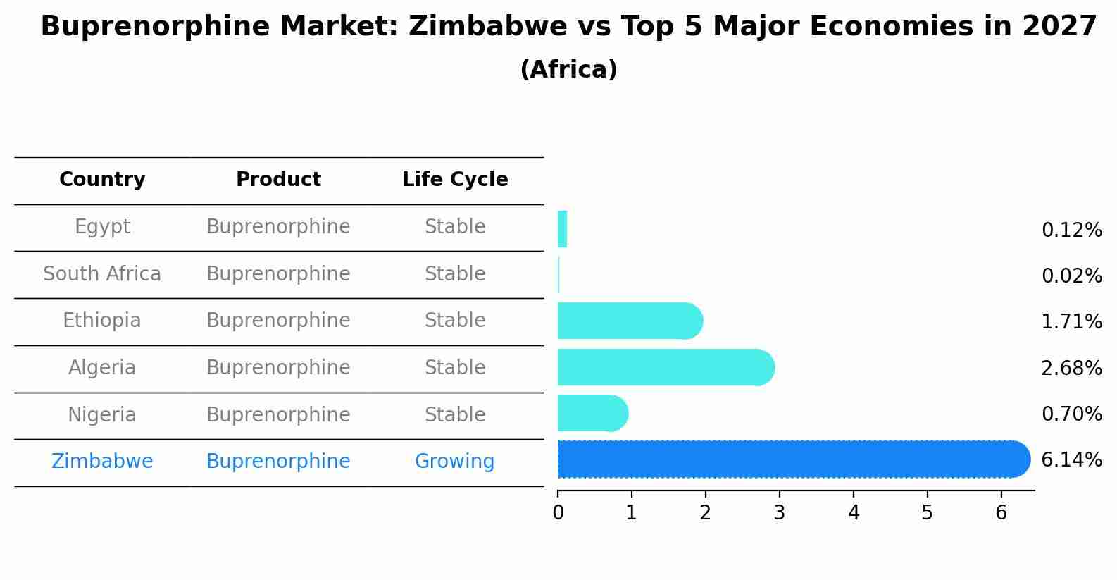 Buprenorphine Market: Zimbabwe vs Top 5 Major Economies in 2027 (Africa)