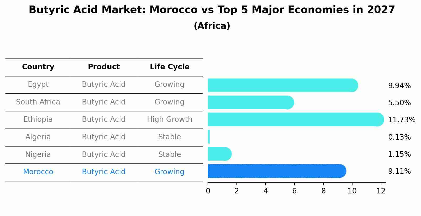 Butyric Acid Market: Morocco vs Top 5 Major Economies in 2027 (Africa)