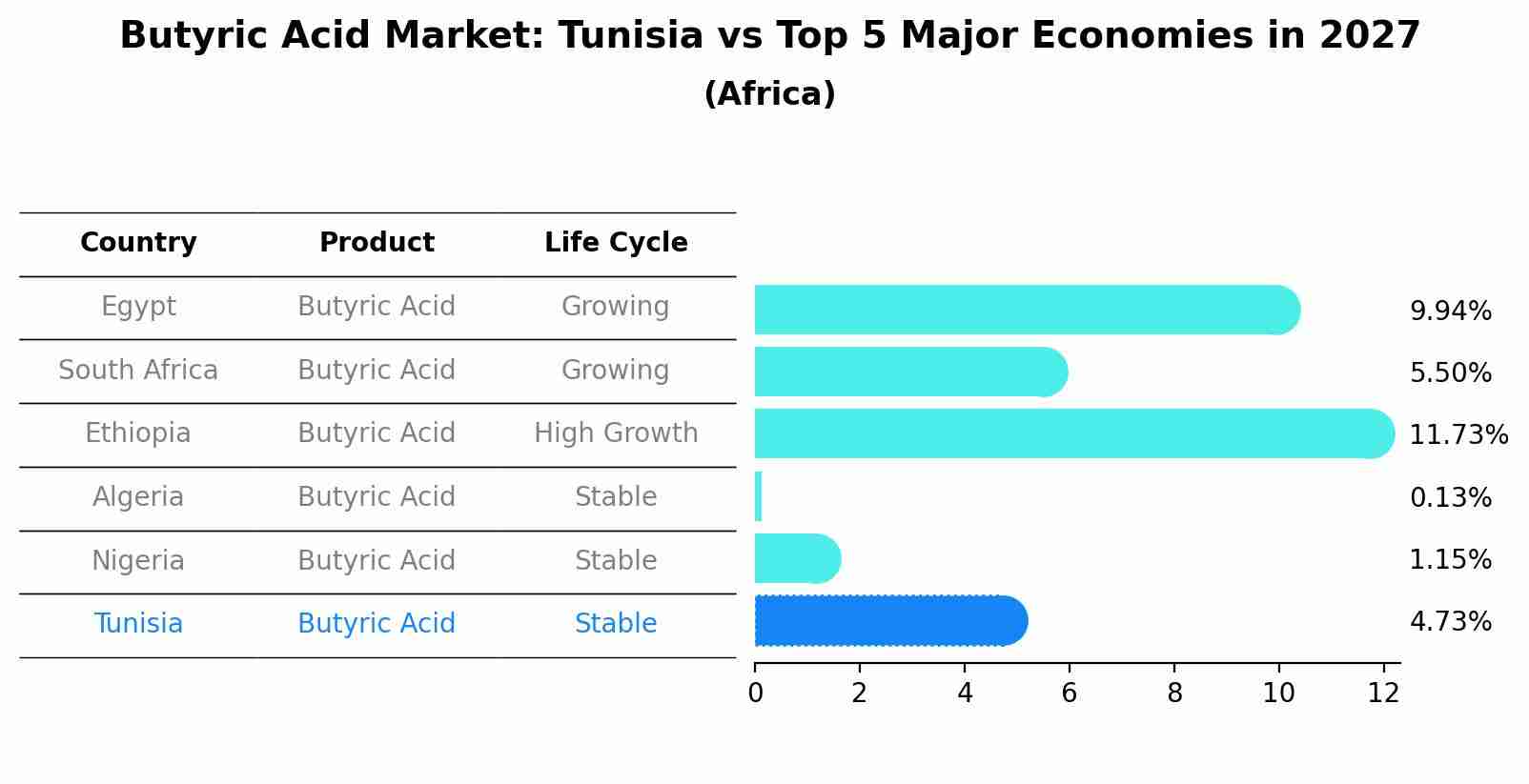 Butyric Acid Market: Tunisia vs Top 5 Major Economies in 2027 (Africa)