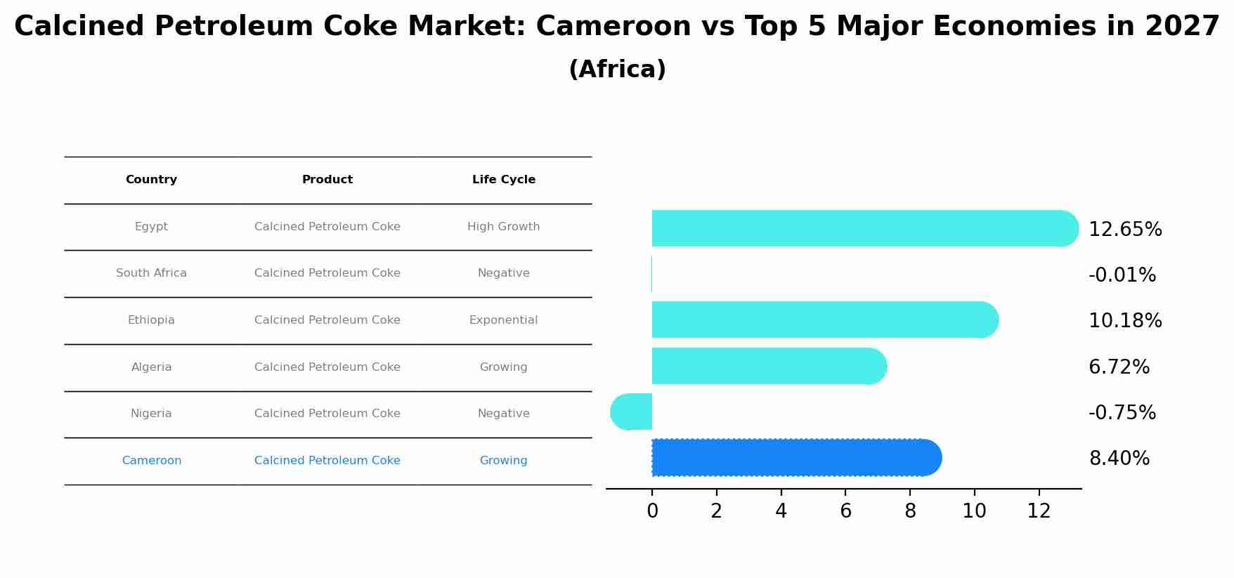 Calcined Petroleum Coke Market: Cameroon vs Top 5 Major Economies in 2027 (Africa)