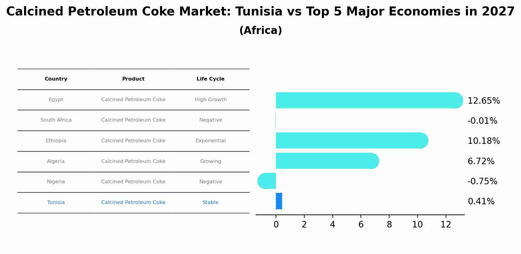Calcined Petroleum Coke Market: Tunisia vs Top 5 Major Economies in 2027 (Africa)