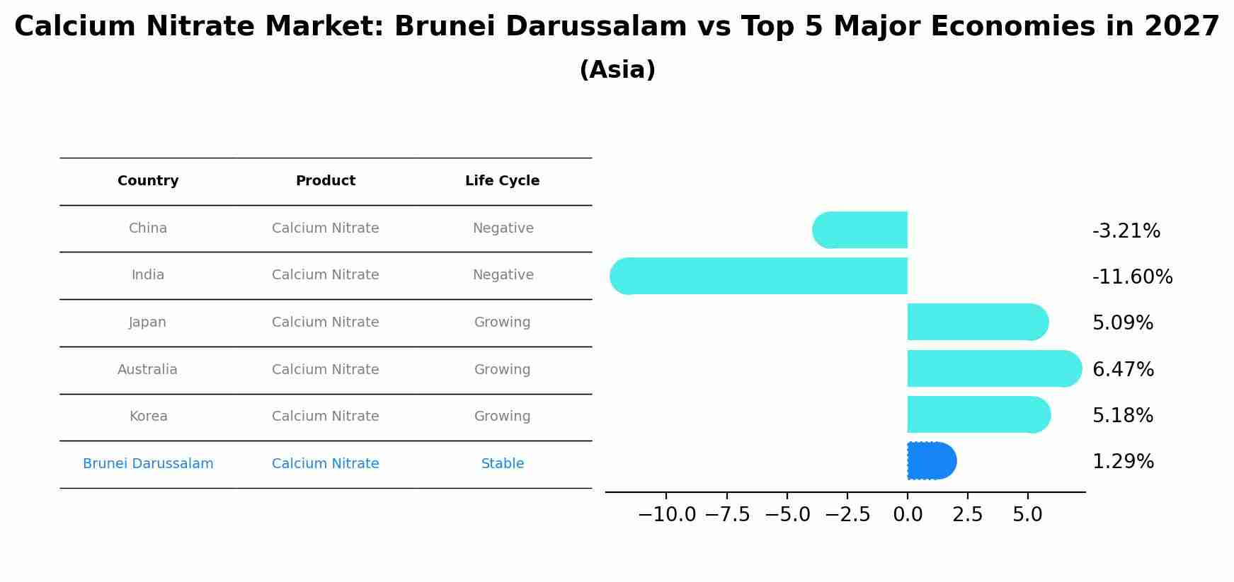 Calcium Nitrate Market: Brunei Darussalam vs Top 5 Major Economies in 2027 (Asia)