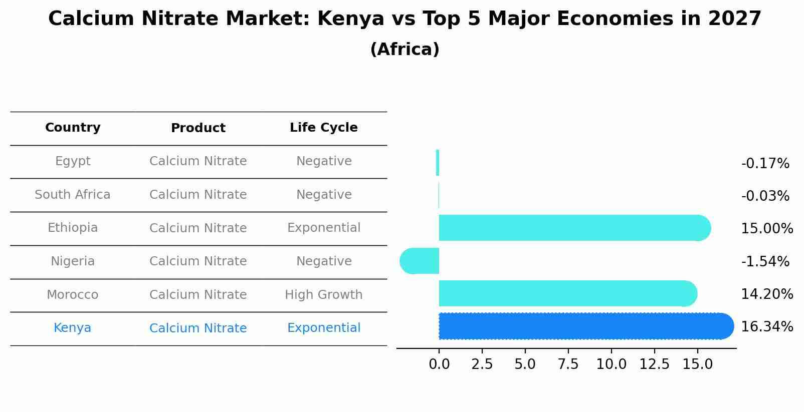 Calcium Nitrate Market: Kenya vs Top 5 Major Economies in 2027 (Africa)