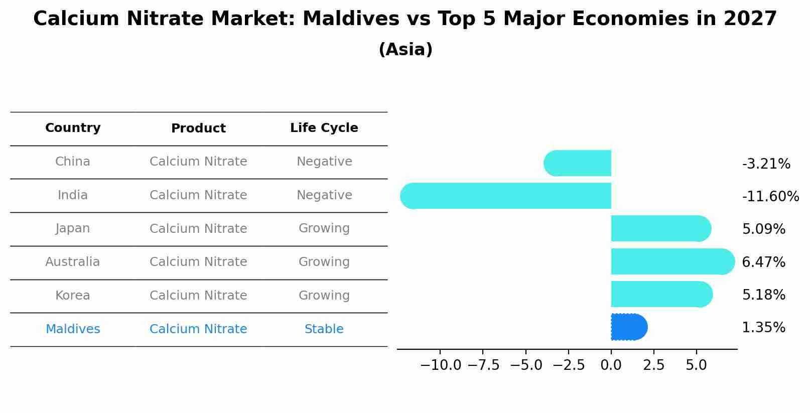 Calcium Nitrate Market: Maldives vs Top 5 Major Economies in 2027 (Asia)