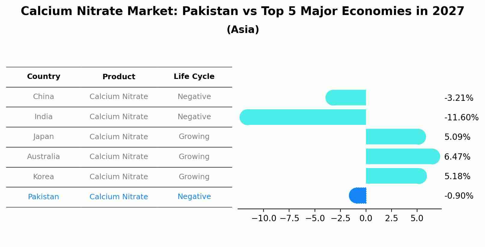 Calcium Nitrate Market: Pakistan vs Top 5 Major Economies in 2027 (Asia)