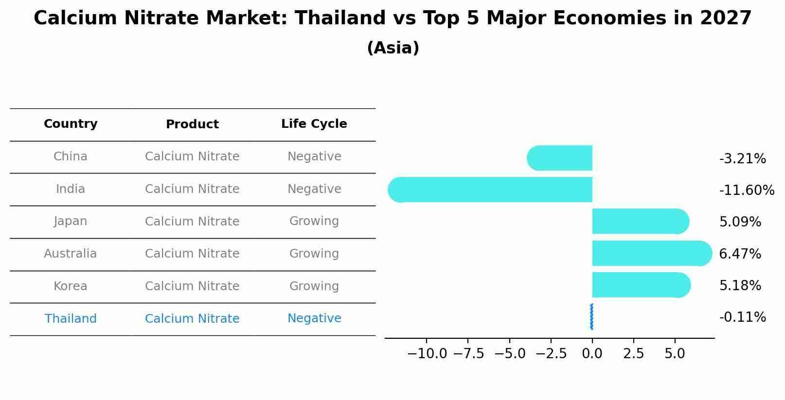 Calcium Nitrate Market: Thailand vs Top 5 Major Economies in 2027 (Asia)
