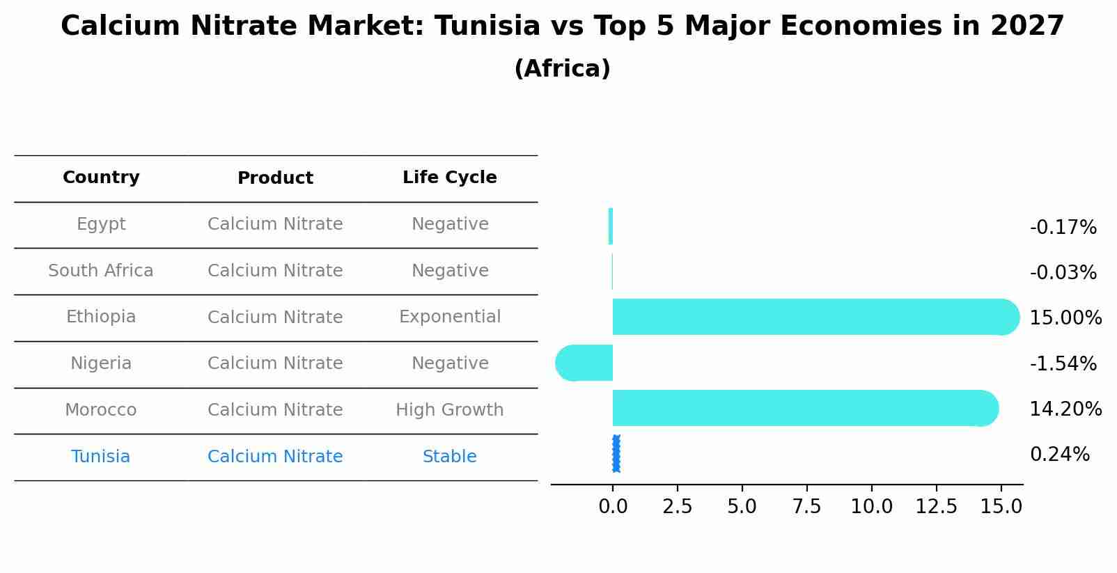 Calcium Nitrate Market: Tunisia vs Top 5 Major Economies in 2027 (Africa)