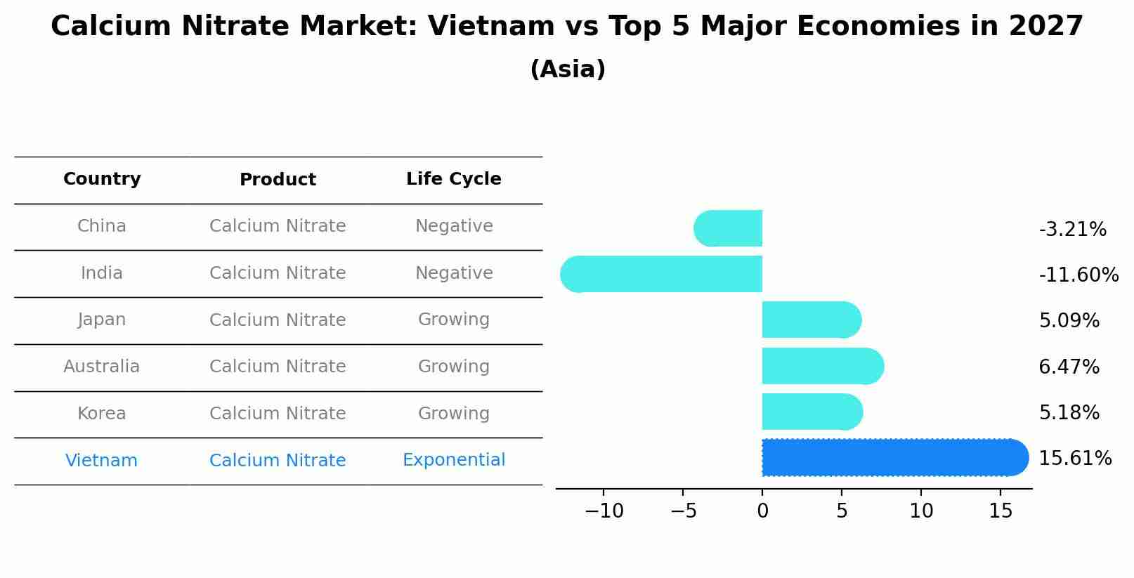 Calcium Nitrate Market: Vietnam vs Top 5 Major Economies in 2027 (Asia)
