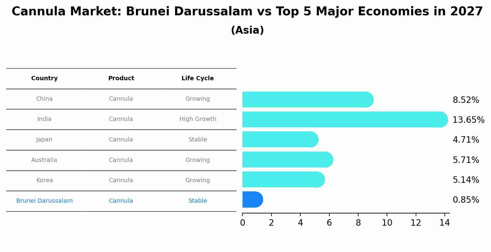 Cannula Market: Brunei Darussalam vs Top 5 Major Economies in 2027 (Asia)