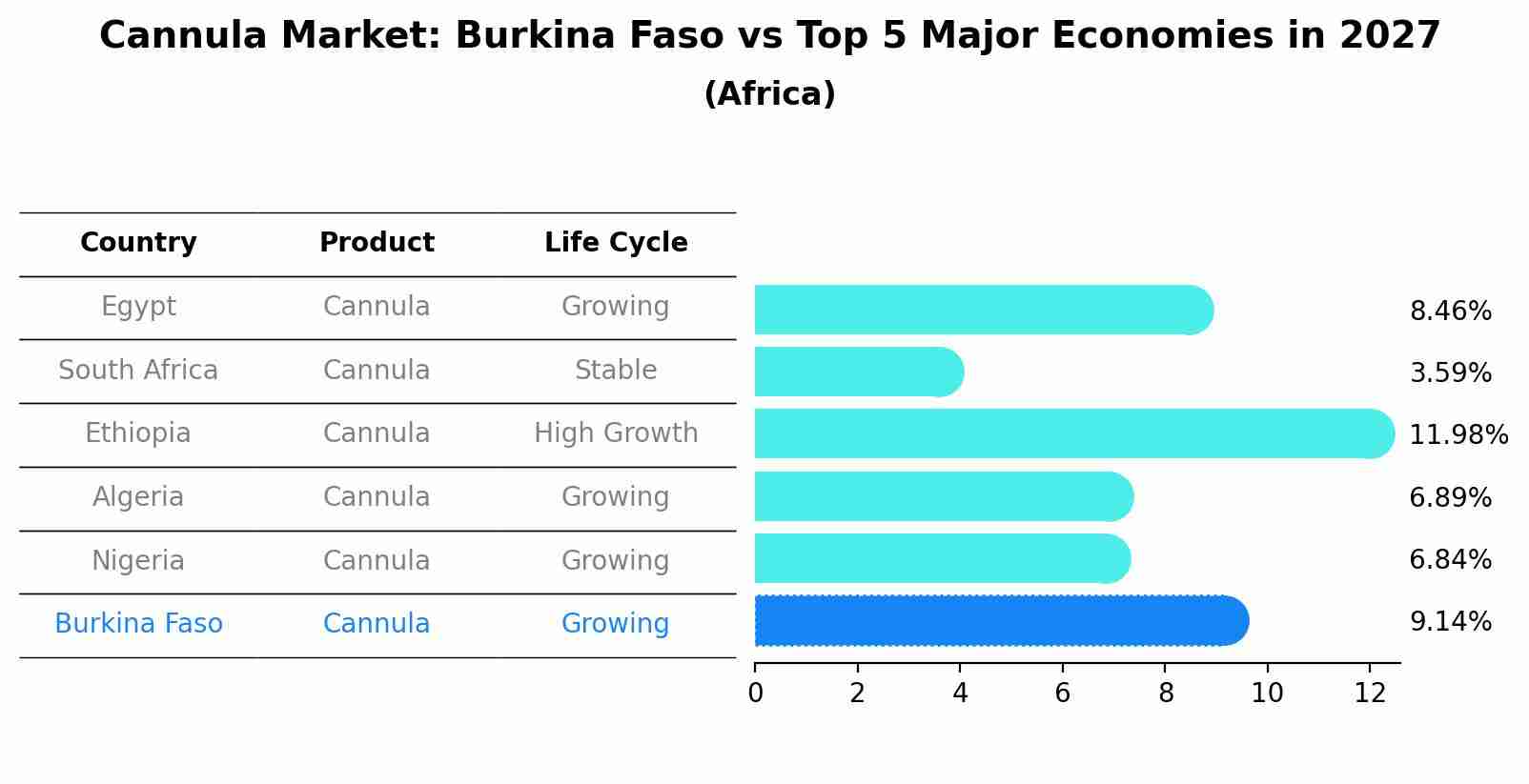 Cannula Market: Burkina Faso vs Top 5 Major Economies in 2027 (Africa)