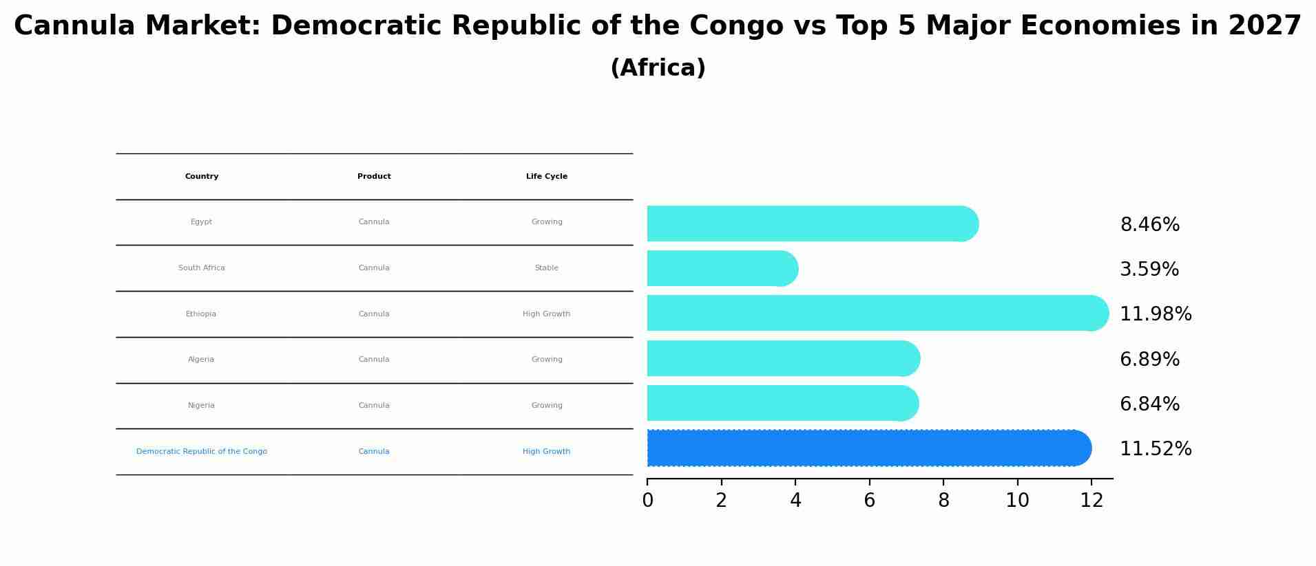 Cannula Market: Democratic Republic of the Congo vs Top 5 Major Economies in 2027 (Africa)