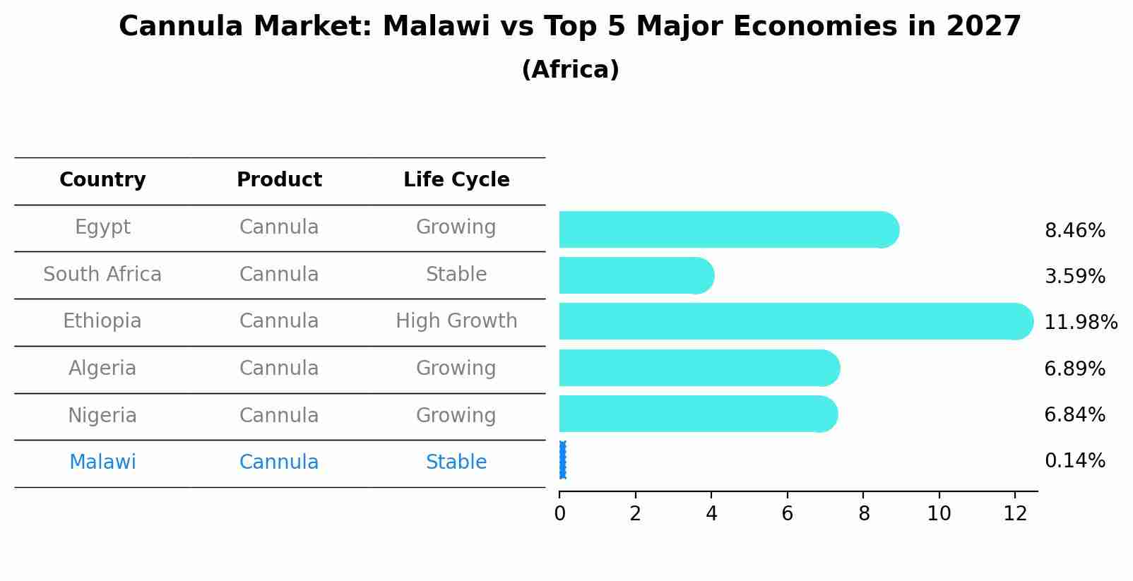 Cannula Market: Malawi vs Top 5 Major Economies in 2027 (Africa)