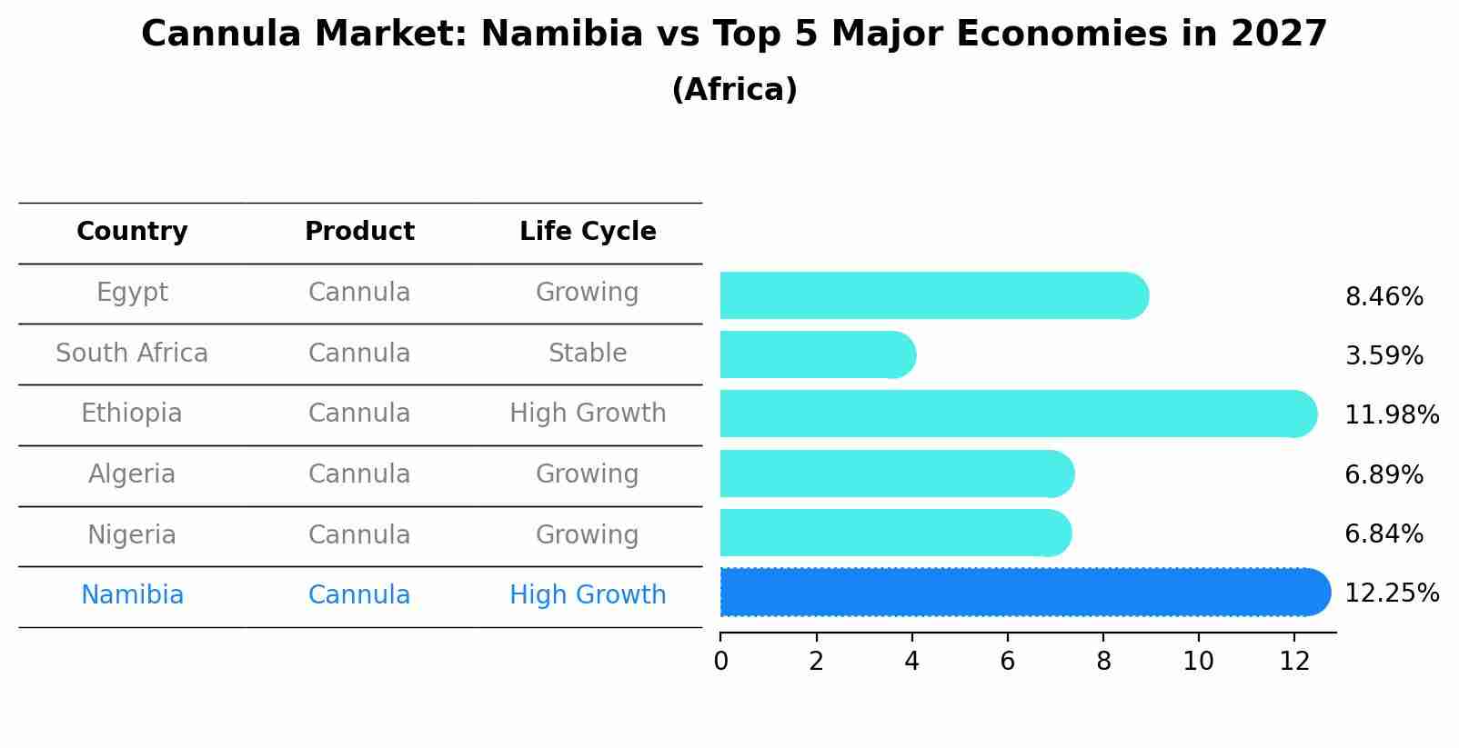 Cannula Market: Namibia vs Top 5 Major Economies in 2027 (Africa)