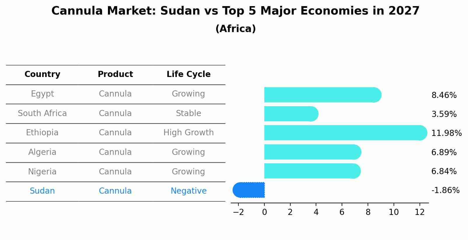 Cannula Market: Sudan vs Top 5 Major Economies in 2027 (Africa)