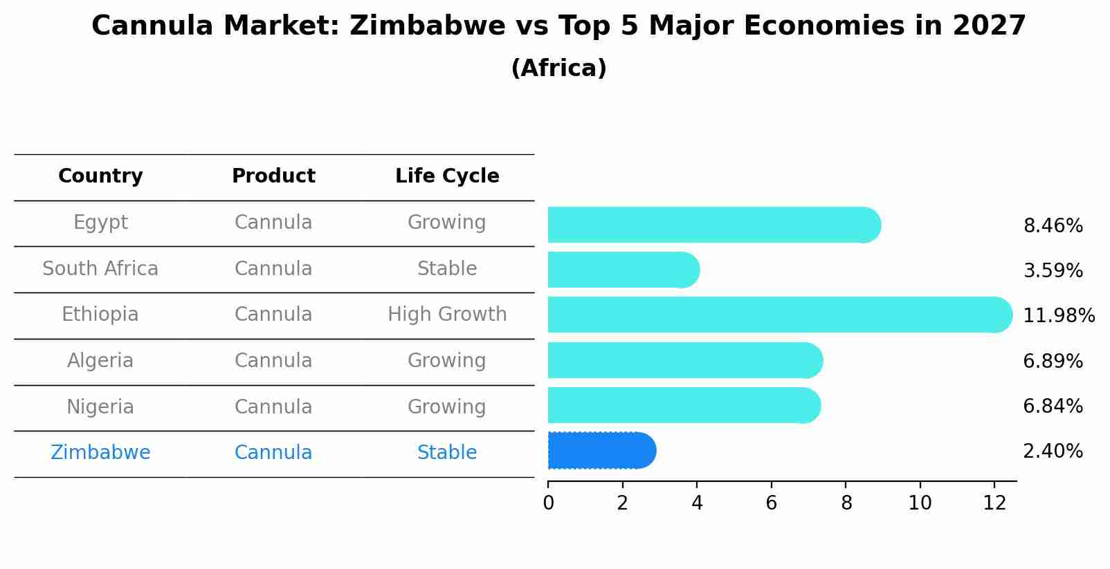 Cannula Market: Zimbabwe vs Top 5 Major Economies in 2027 (Africa)