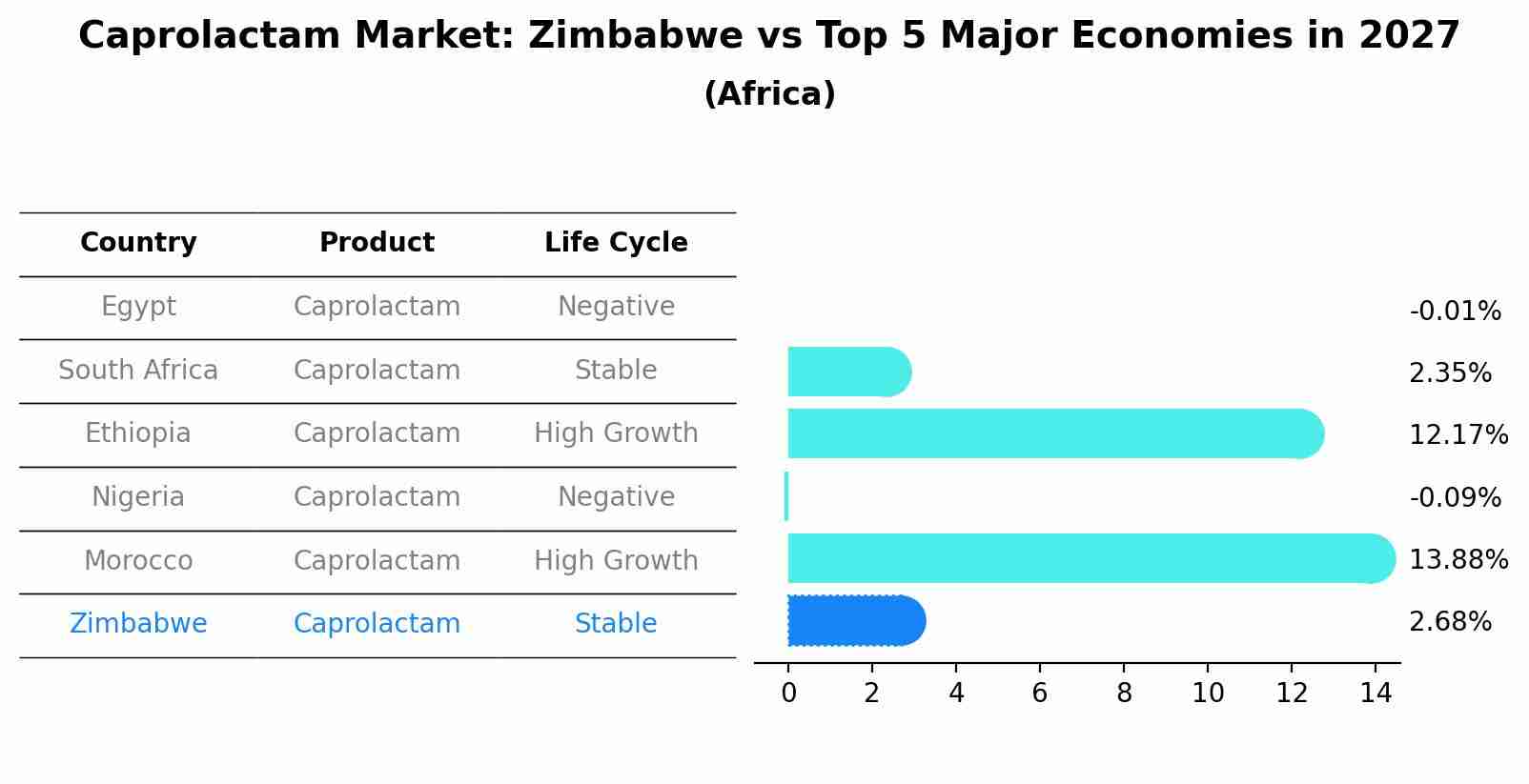 Caprolactam Market: Zimbabwe vs Top 5 Major Economies in 2027 (Africa)