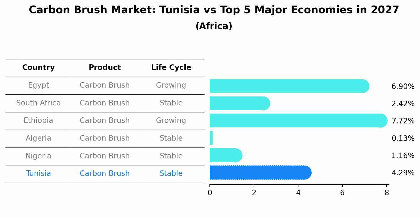 Carbon Brush Market: Tunisia vs Top 5 Major Economies in 2027 (Africa)