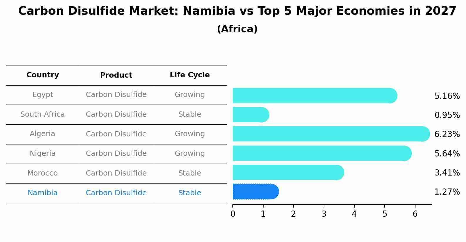 Carbon Disulfide Market: Namibia vs Top 5 Major Economies in 2027 (Africa)