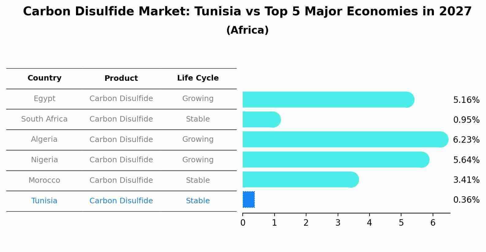 Carbon Disulfide Market: Tunisia vs Top 5 Major Economies in 2027 (Africa)