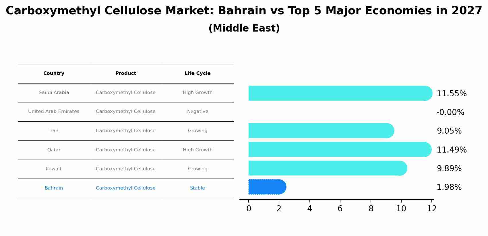 Carboxymethyl Cellulose Market: Bahrain vs Top 5 Major Economies in 2027 (Middle East)