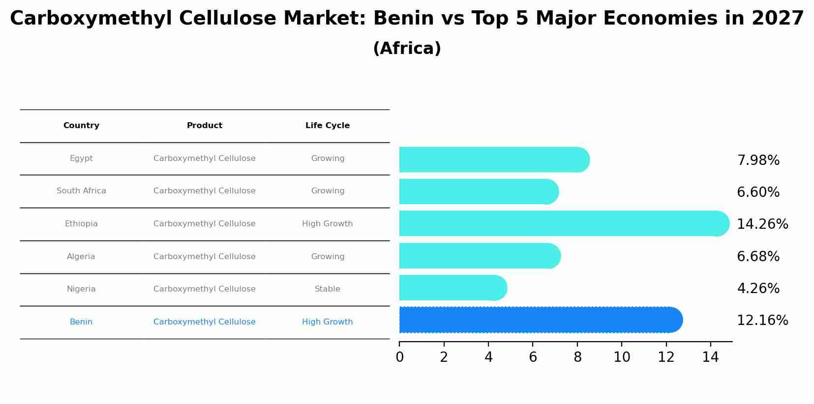 Carboxymethyl Cellulose Market: Benin vs Top 5 Major Economies in 2027 (Africa)
