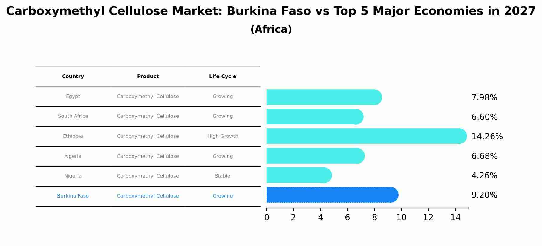 Carboxymethyl Cellulose Market: Burkina Faso vs Top 5 Major Economies in 2027 (Africa)