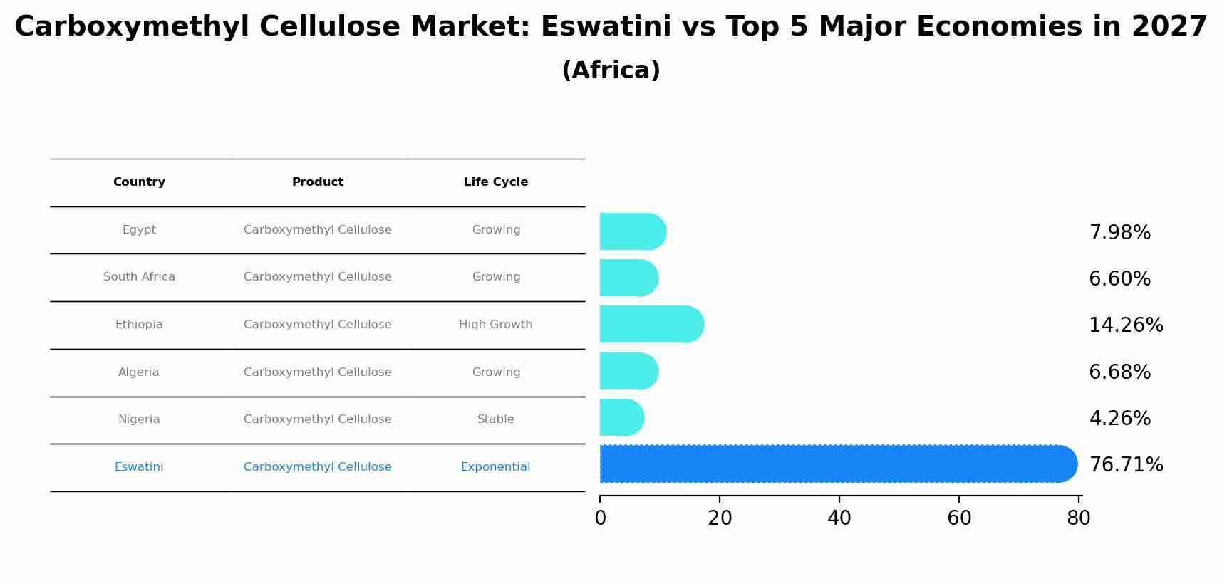 Carboxymethyl Cellulose Market: Eswatini vs Top 5 Major Economies in 2027 (Africa)