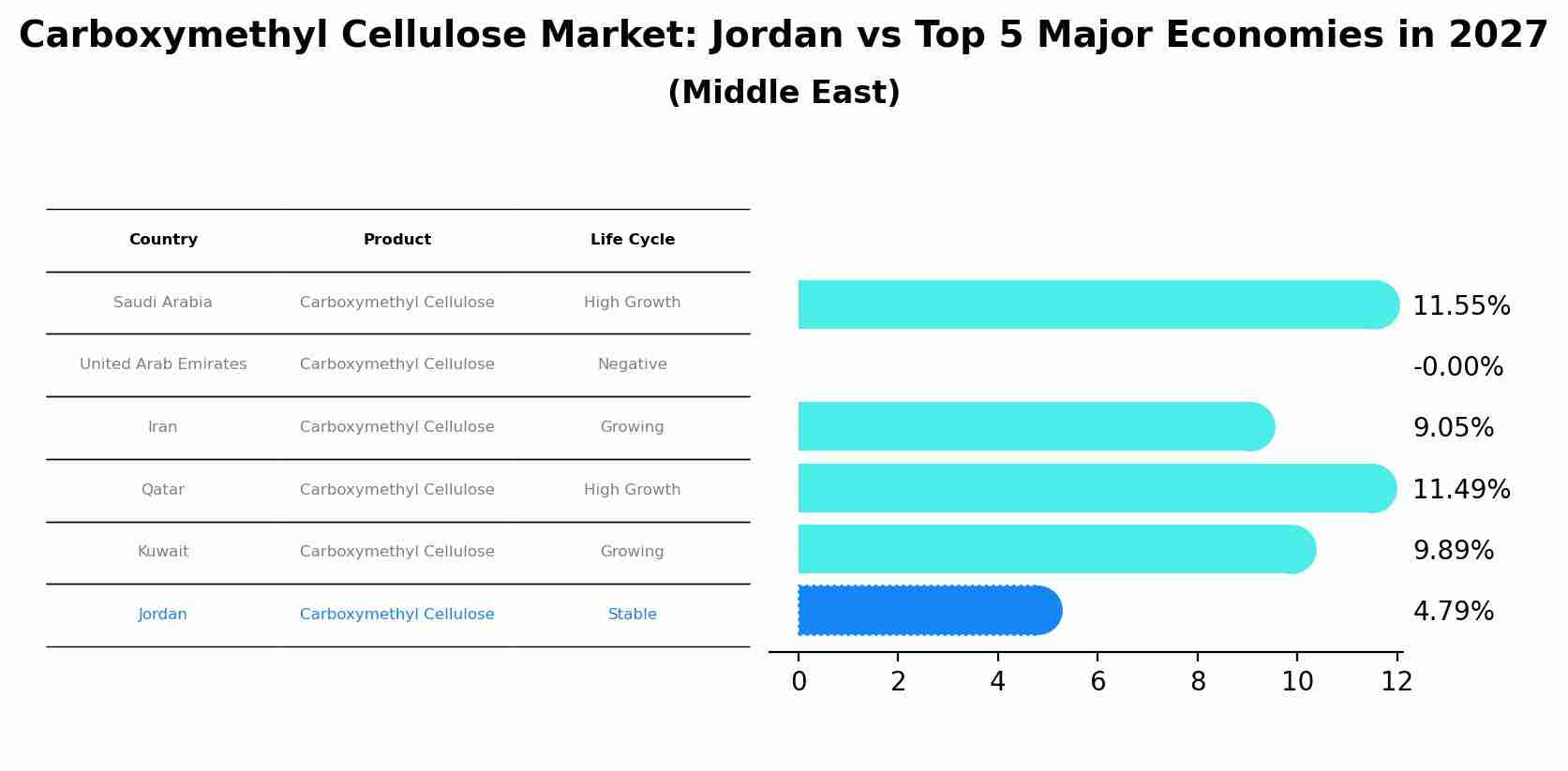 Carboxymethyl Cellulose Market: Jordan vs Top 5 Major Economies in 2027 (Middle East)