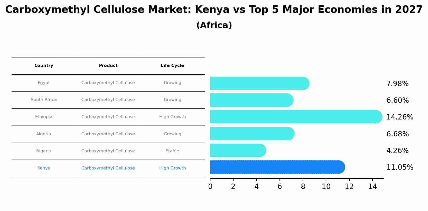 Carboxymethyl Cellulose Market: Kenya vs Top 5 Major Economies in 2027 (Africa)