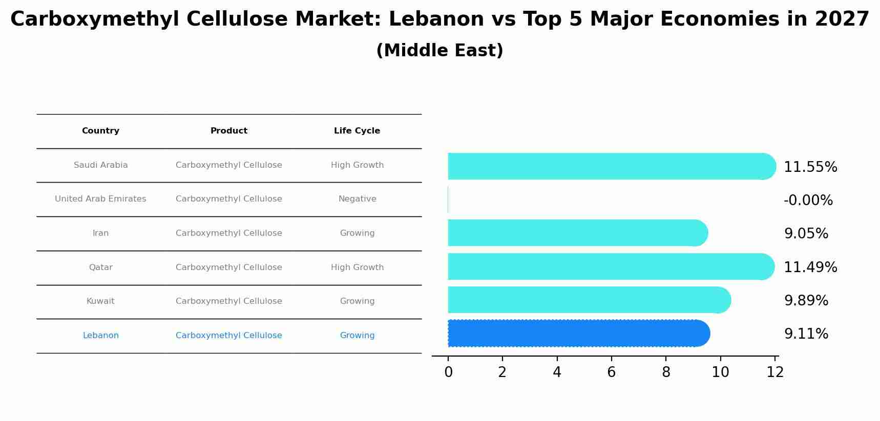 Carboxymethyl Cellulose Market: Lebanon vs Top 5 Major Economies in 2027 (Middle East)