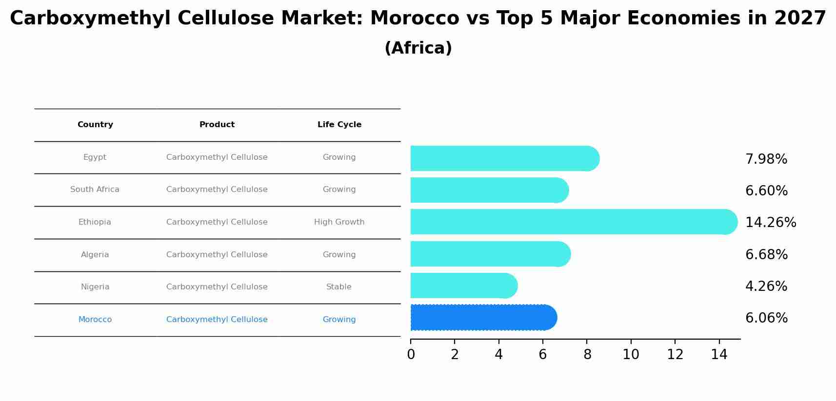 Carboxymethyl Cellulose Market: Morocco vs Top 5 Major Economies in 2027 (Africa)