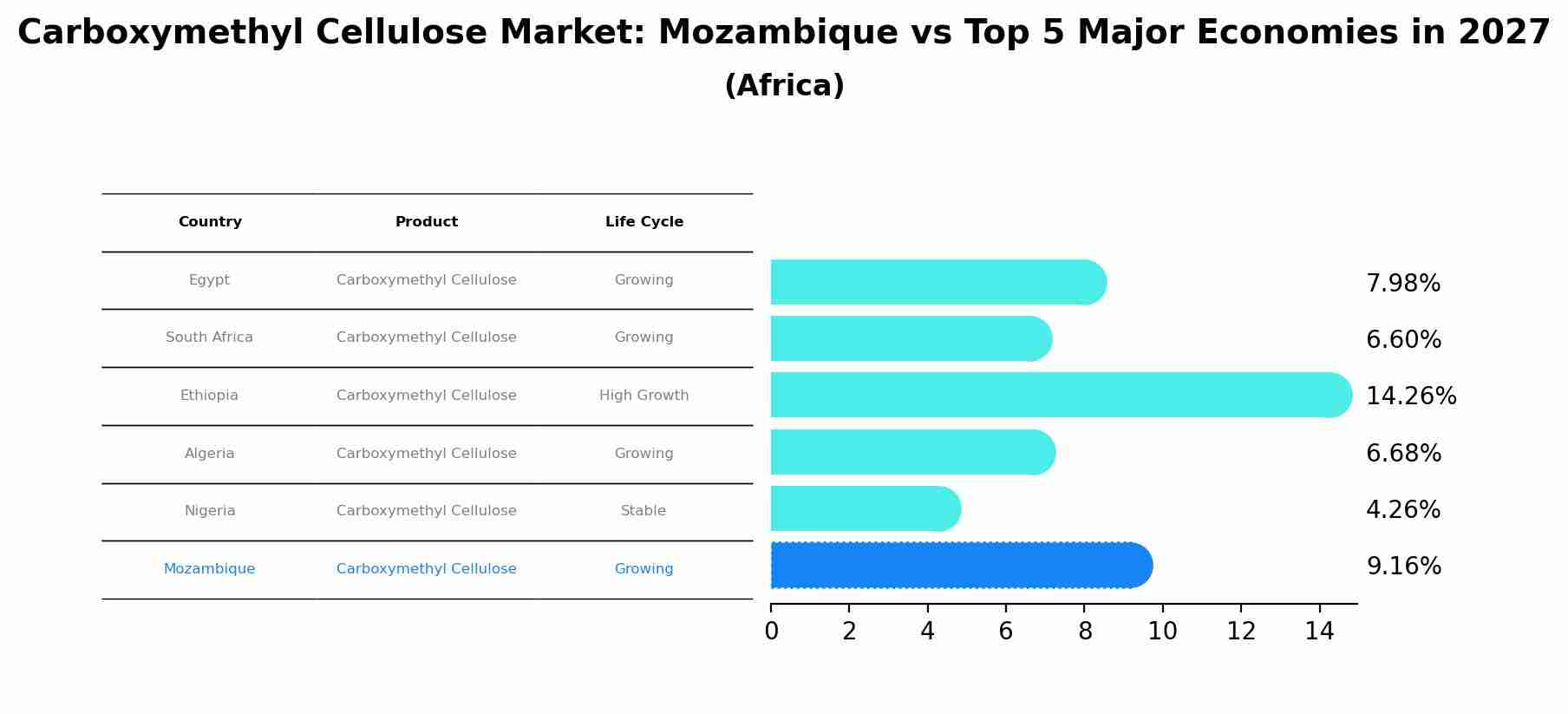 Carboxymethyl Cellulose Market: Mozambique vs Top 5 Major Economies in 2027 (Africa)