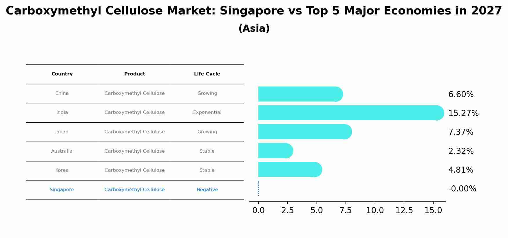Carboxymethyl Cellulose Market: Singapore vs Top 5 Major Economies in 2027 (Asia)