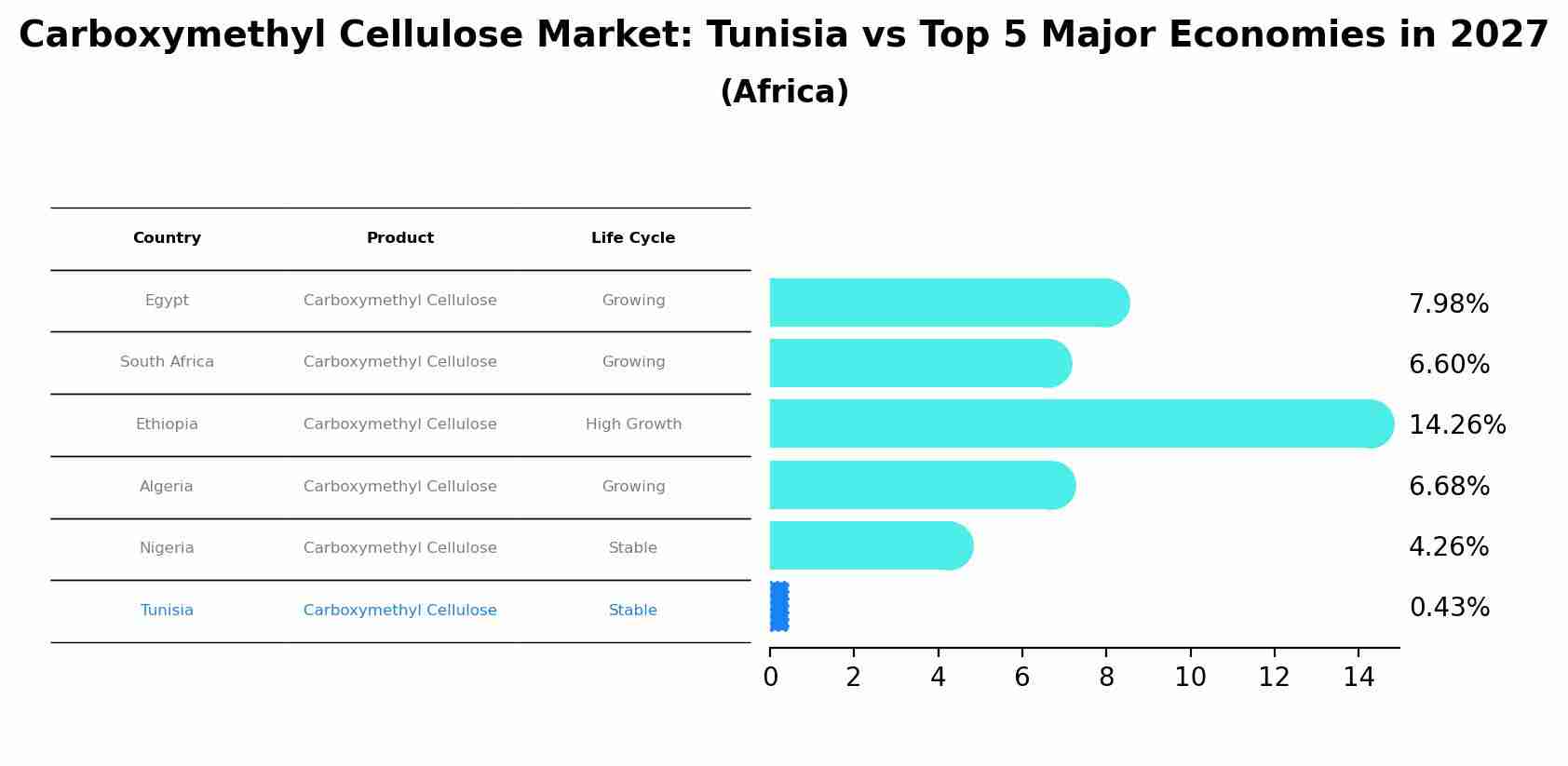 Carboxymethyl Cellulose Market: Tunisia vs Top 5 Major Economies in 2027 (Africa)