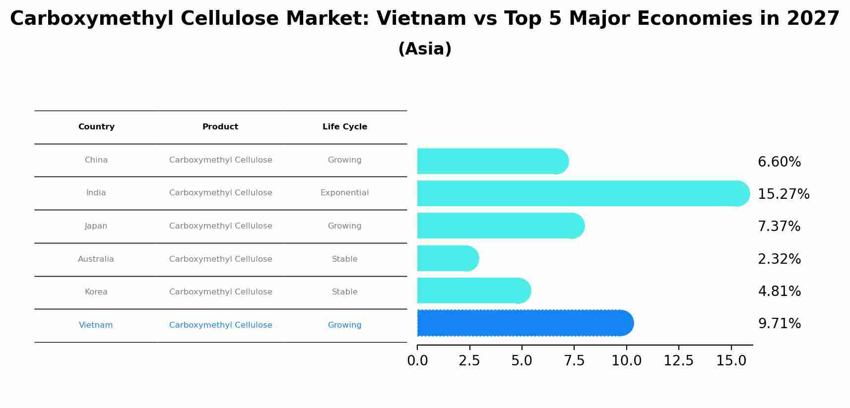 Carboxymethyl Cellulose Market: Vietnam vs Top 5 Major Economies in 2027 (Asia)