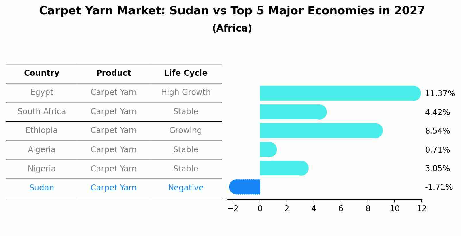 Carpet Yarn Market: Sudan vs Top 5 Major Economies in 2027 (Africa)